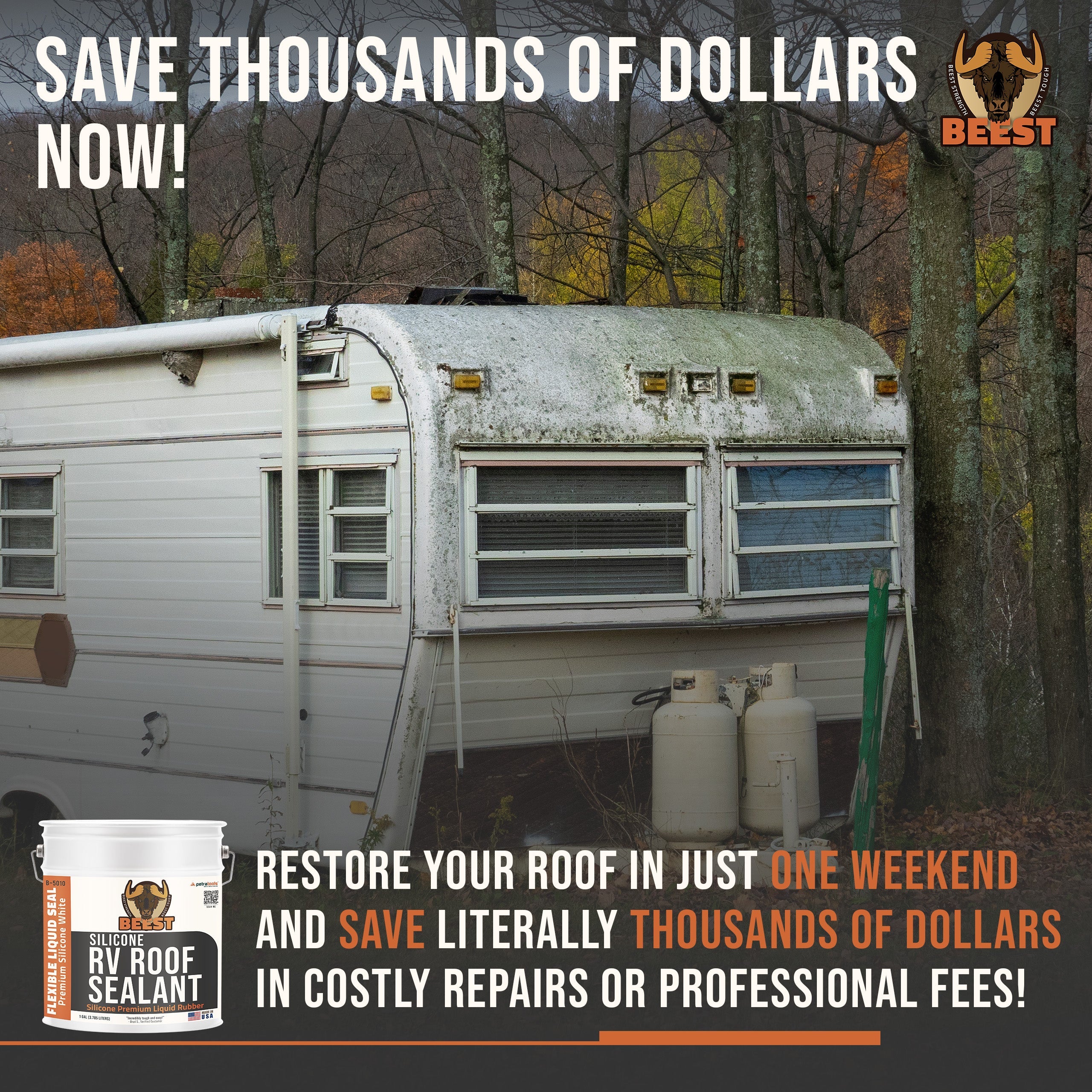BEEST RV Roof Sealant (Silicone Premium Liquid Rubber)